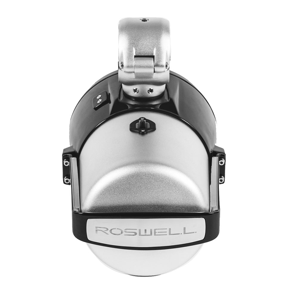 Roswell R1 8 Tower Speakers - Black - 100W RMS 200W Peak Power [C920-1711]